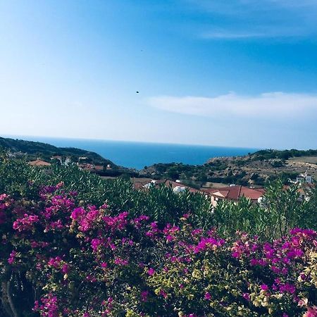 Pissouri Villa Miramar Экстерьер фото