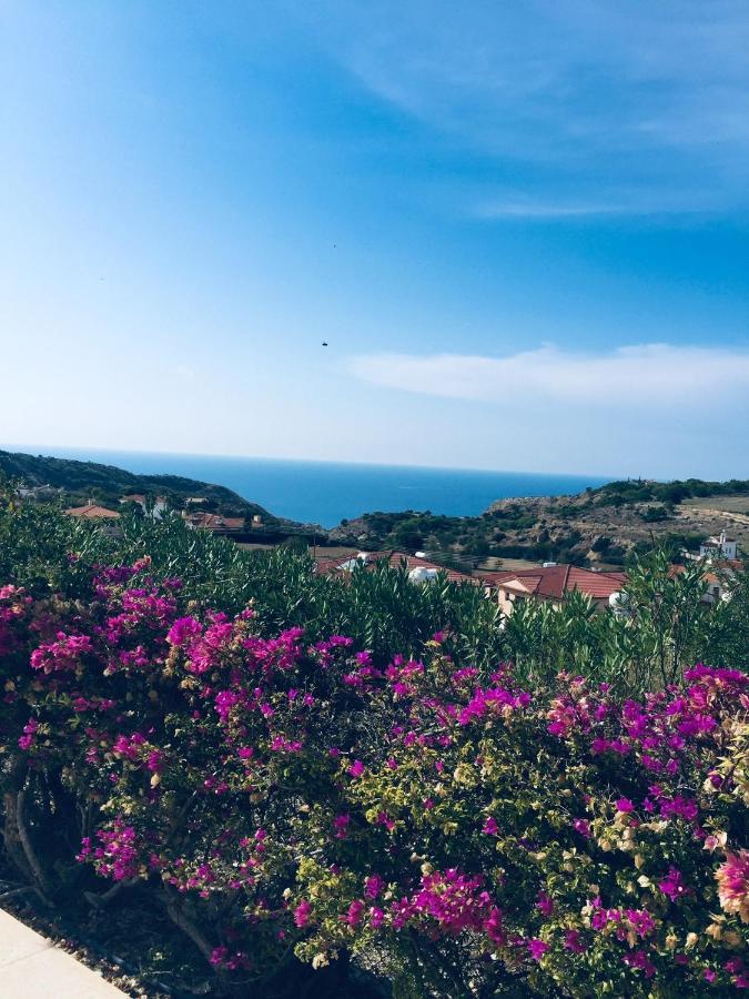 Pissouri Villa Miramar Экстерьер фото
